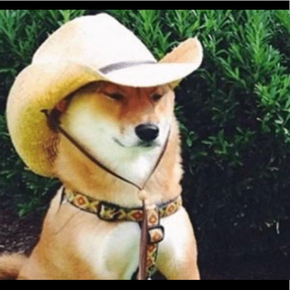 Wot’n tarnation is going on?